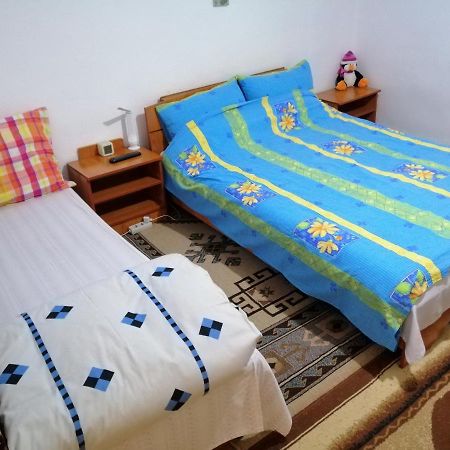Rustic House Apartment Turnu Măgurele Exterior foto