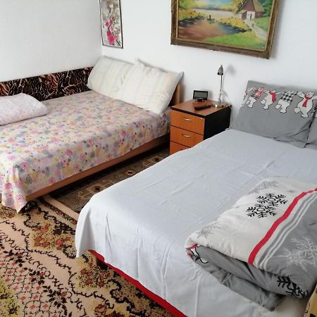 Rustic House Apartment Turnu Măgurele Exterior foto