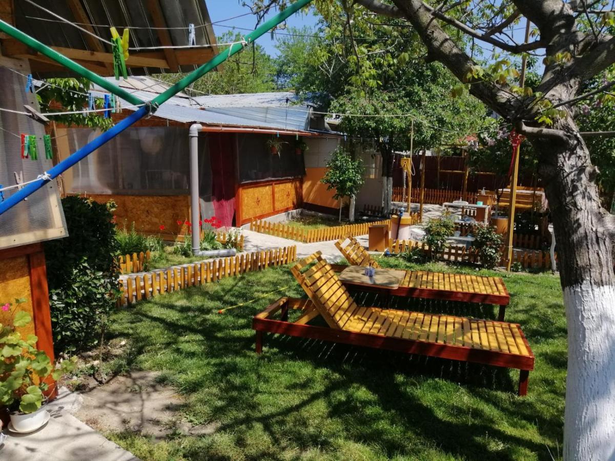 Rustic House Apartment Turnu Măgurele Exterior foto