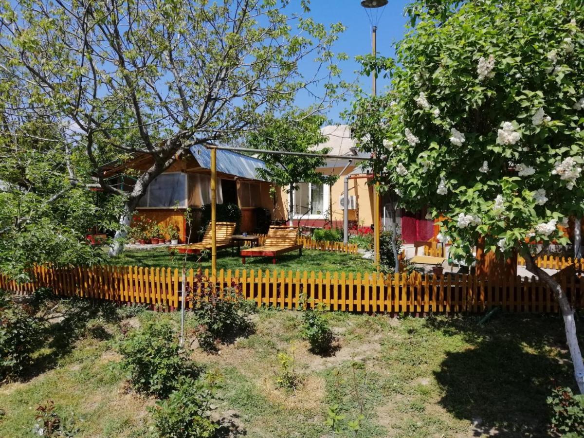 Rustic House Apartment Turnu Măgurele Exterior foto