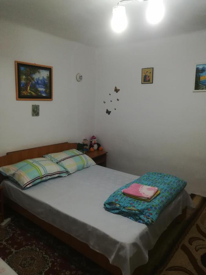 Rustic House Apartment Turnu Măgurele Exterior foto