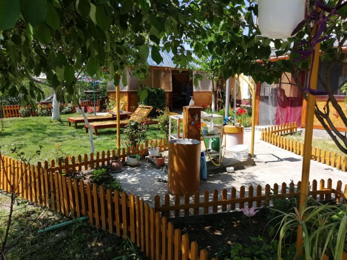Rustic House Apartment Turnu Măgurele Exterior foto