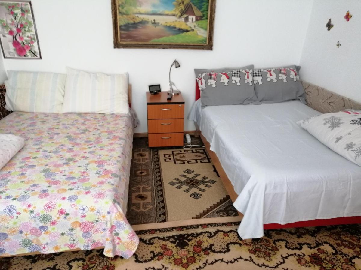 Rustic House Apartment Turnu Măgurele Exterior foto