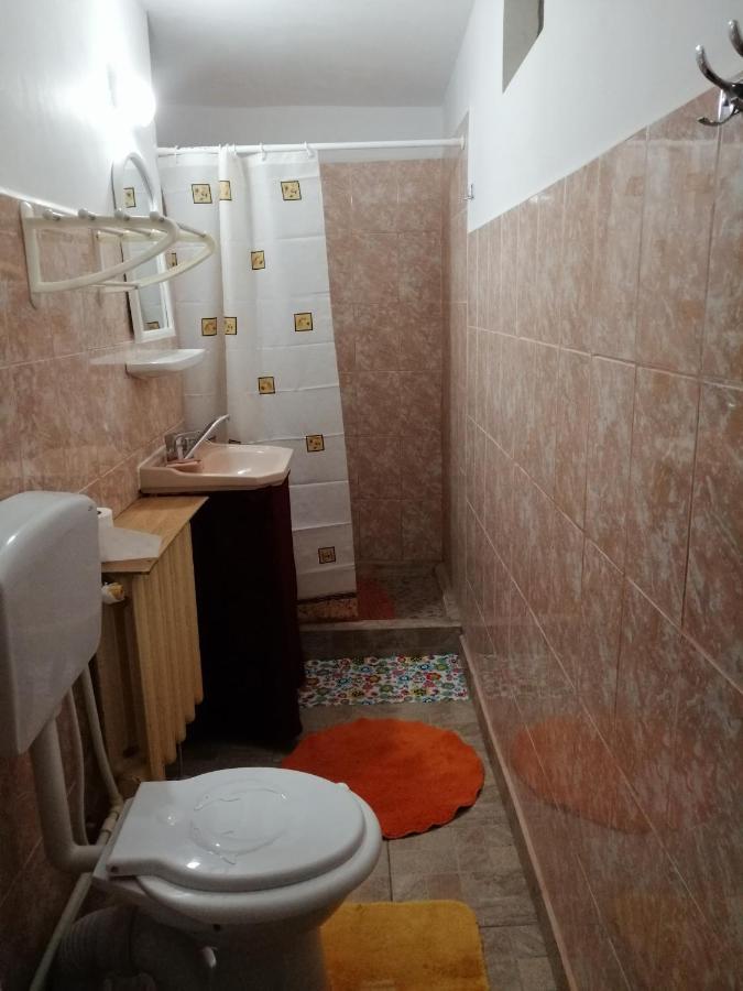 Rustic House Apartment Turnu Măgurele Exterior foto